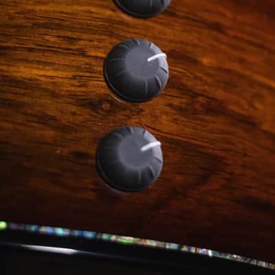 Taylor PS14ce Honduran Rosewood/Sinker Redwood Acoustic/Electric with Deluxe with Hardshell Case image 15