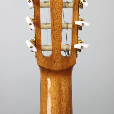 Cordoba C5 Spruce Top Nylon String image 5