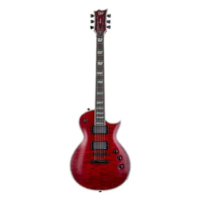 Edwards Karmaster See Thru Black [SN ED2047758P] (06/24) | Reverb