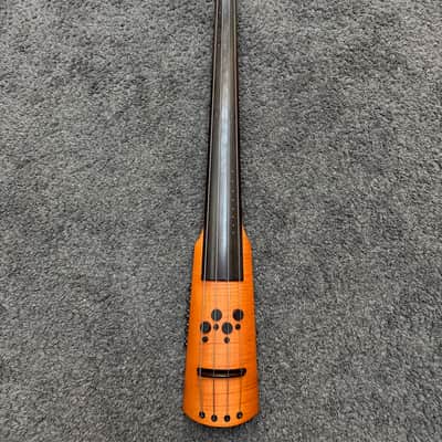 Czech Ease Acoustic Road Bass from David Gage with Flight Case