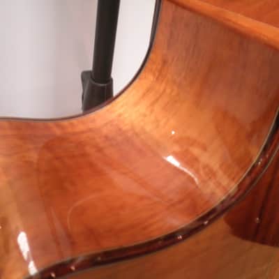 TAYLOR 510 CE LIMITED 201O NATURAL image 4