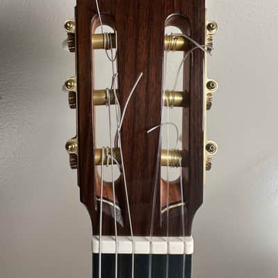 Juan M Garcia Fernandez Flamenco Blanca 2025 - French polish image 4