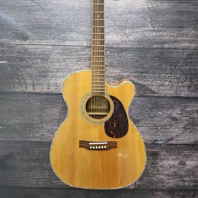 Zager ZAD9000MCE Acoustic Electric Guitar (San Antonio, TX) image 1