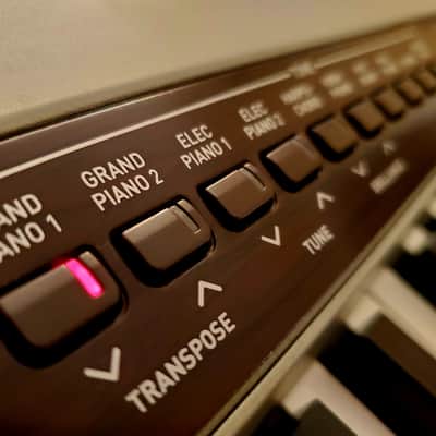 MUST SEE!!! CASIO PRIVIA PX-110 DIGITAL PIANO WITH 88 WEIGHTED KEYS GREAT FOR STUDENTS! image 13