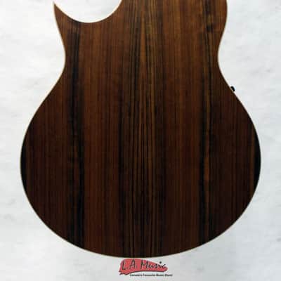 Warwick Alien Acoustic Bass Guitar image 2