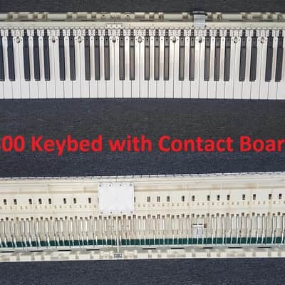 Suzuki MDG-300 Keybed image 3