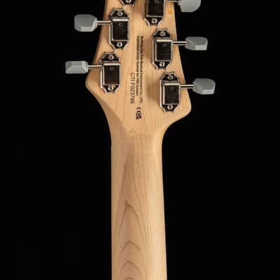 PRS SE Silver Sky Overland Gray image 5