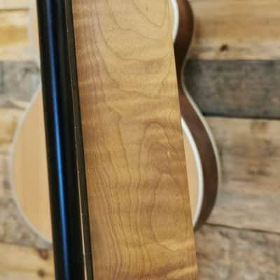 Music Man Kaizen 7-String - Ebony Fretboard, Apollo Black image 17