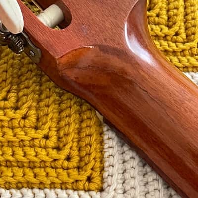 Lyle C-620 - Perfect Nylon String Guitar! - Solid Red Cedar Top! - Pro Neck Repair! - 1970’s Made in Japan 🇯🇵! - image 8