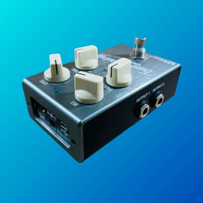 Source Audio True Spring Reverb with SA167 Tap Tempo 2018 image 3