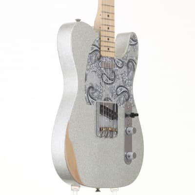 FENDER MEXICO Artist Series Brad Paisley Road Worn Telecaster SLV SPKL [MX17904894] (08/19) image 8