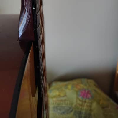 Epiphone FT-120 1976 - 1979 Lincolnwood label image 3
