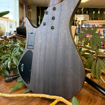 Ibanez EHB1505MS-BIF Bass Workshop 2022 - Black Ice Flat image 10