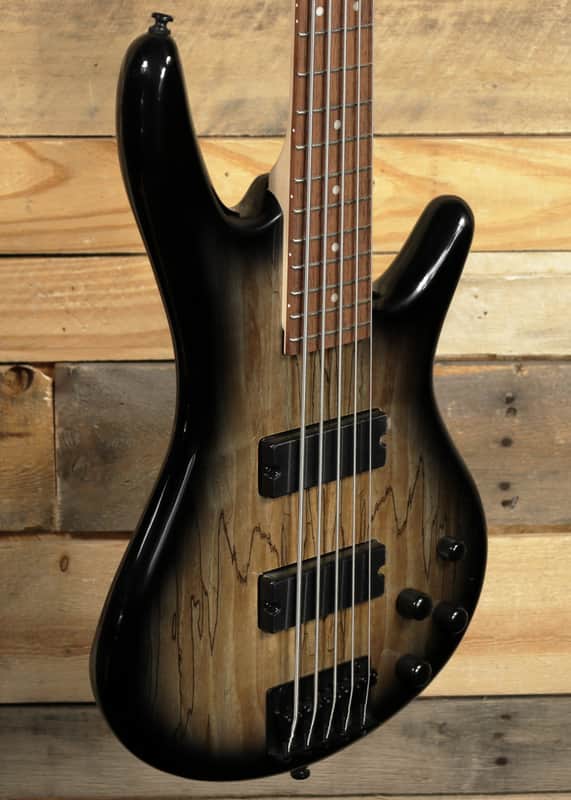 Ibanez GIO SR GSR205SM 5-String Bass Natural Gray Burst image 1