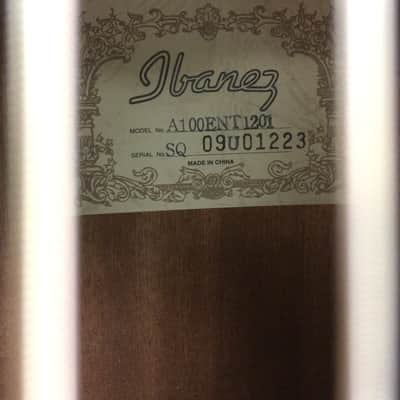 Ibanez A100ENT1201 w/ Case image 5