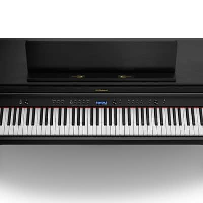 HP704-CH Roland image 3