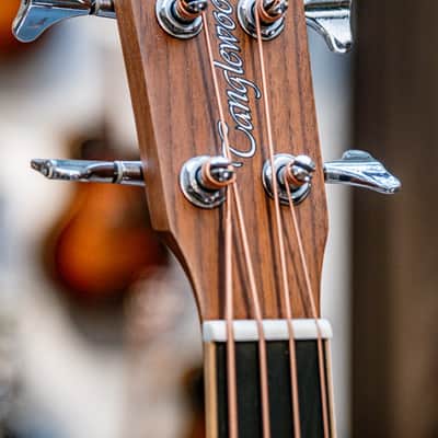 2019 Tanglewood DBT AB BW Acoustic Bass, Discovery series natural image 3