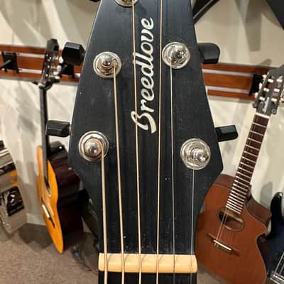 Breedlove Premier Concert 2019 - Natural image 5