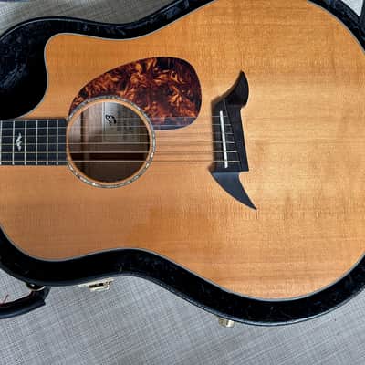 Breedlove Performance Focus D 2004 - new frets, Natural image 11