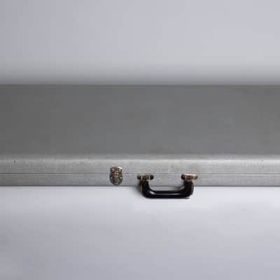Rickenbacker  Model 365 Thinline Hollow Body Electric Guitar (1966), ser. #FF-2256, original silver tolex hard shell case. image 11