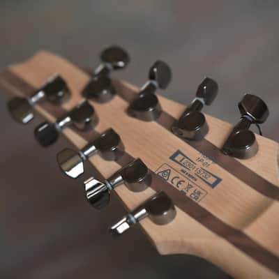 Ibanez RG9PB-TGF - Transparent Gray Flat image 17