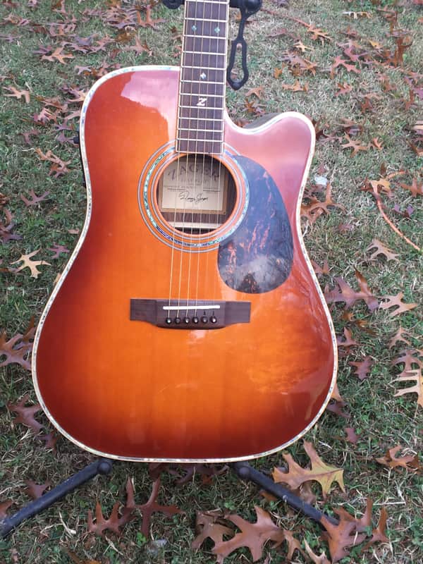 Zager 900CE 50th Anniversary image 1