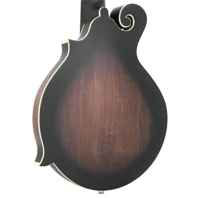 Gold Tone F-12: 12-string F-style Mando-Guitar with Pickup and Case image 10