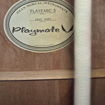 Dean Playmate 2000s - Natural image 6