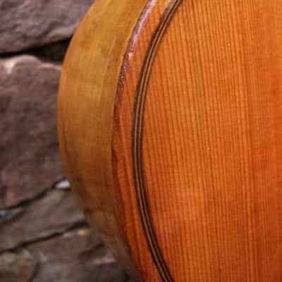 Antique 'Russian' seven-string guitar ca. 1890 -Restored image 4