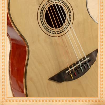 H. Jimenez Guitarron LGTN2 w/ Padded Gig Bag image 10