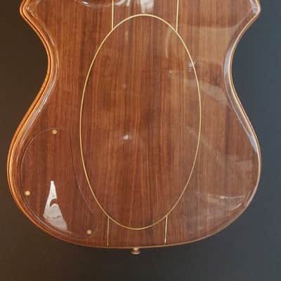 Jerman Jerry Garcia Tribute Tiger Guitar New image 4
