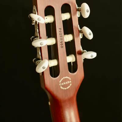 Godin Multiac Nylon Encore Natural SG w/Bag image 7