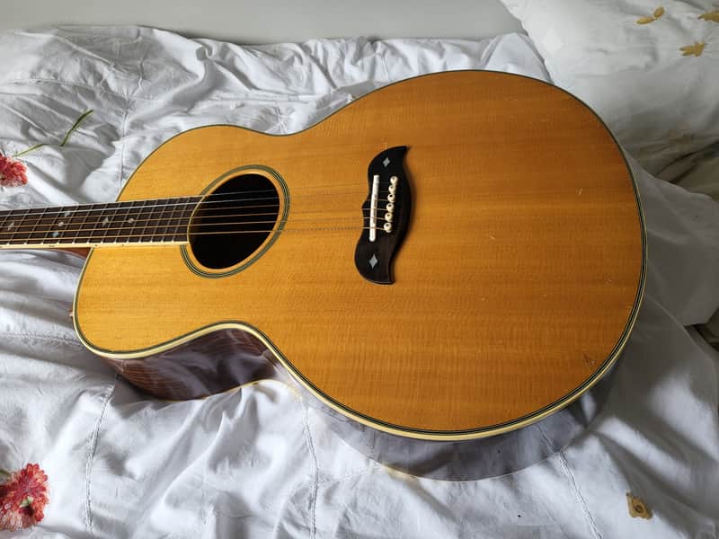 Aria Elecord FE-60 エレアコ Aria FE60 Elecord 1980s Natural MIJ | Reverb