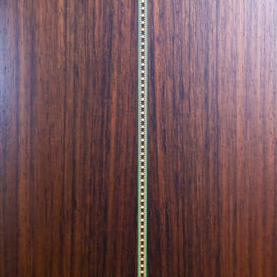 Lyon & Healy Lakeside Parlor Acoustic Electric - Indian Rosewood #004 image 21