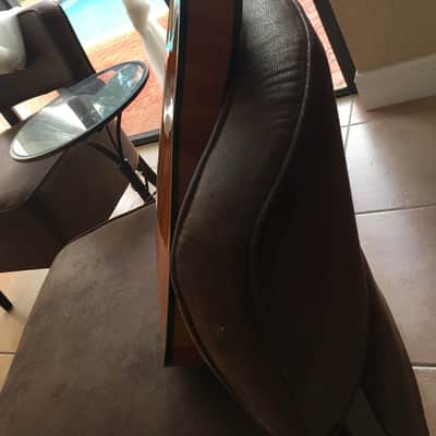Artinger semi hollow arch top 2010 image 6