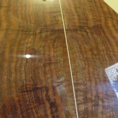 Goodall master Cedar/ AAA Claro Walnut Concert Jumbo Cutaway, with case. image 11