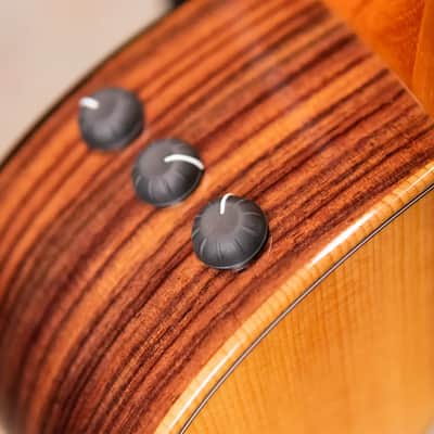 Taylor GS Mini-e Rosewood Plus Acoustic/Electric Guitar with Aerocase image 9