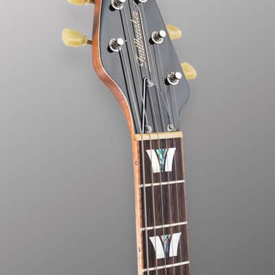 OOPEGG Supreme Collection Trailbreaker MK-III - 2023 - Tobacco Burst. NEW (Authorized Dealer) image 9