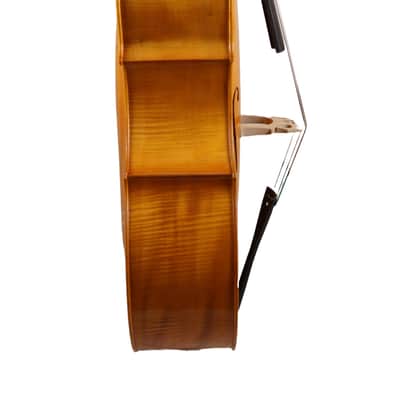 3/4 Double bass, Fried Van Doorslaer, Exeter, 2024, handmade image 2