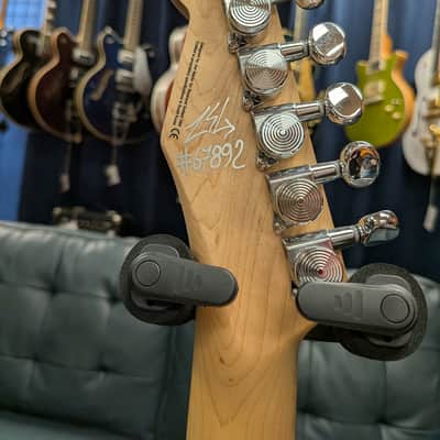 Reverend Greg Koch Sig. Gristlemaster 2025 Transparent White image 19