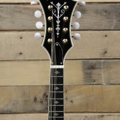 Washburn M3SWK-D-U F Style Mandolin Tobacco Sunburst w/ Case image 6