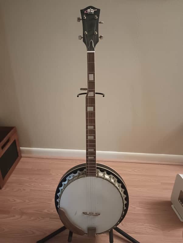 Checkmate 5 String banjo - 4 method books included image 1