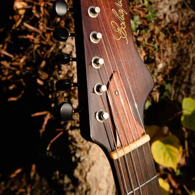 2016 Echopark Arroyo Californian Build - Dean Fertita Model & Spec image 7