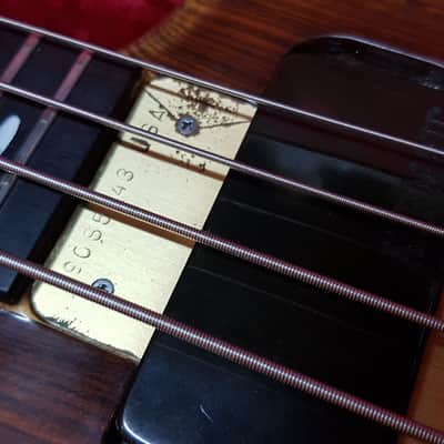 Alembic Spoiler 4 String Bass AXY4 Mahogany Maple image 13