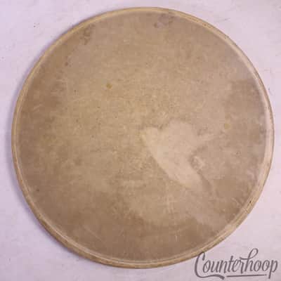 Ludwig 13"Calf Skin Snare/Tom Drum Head Calfskin Batter/Resonant Vintage 30s USA image 1