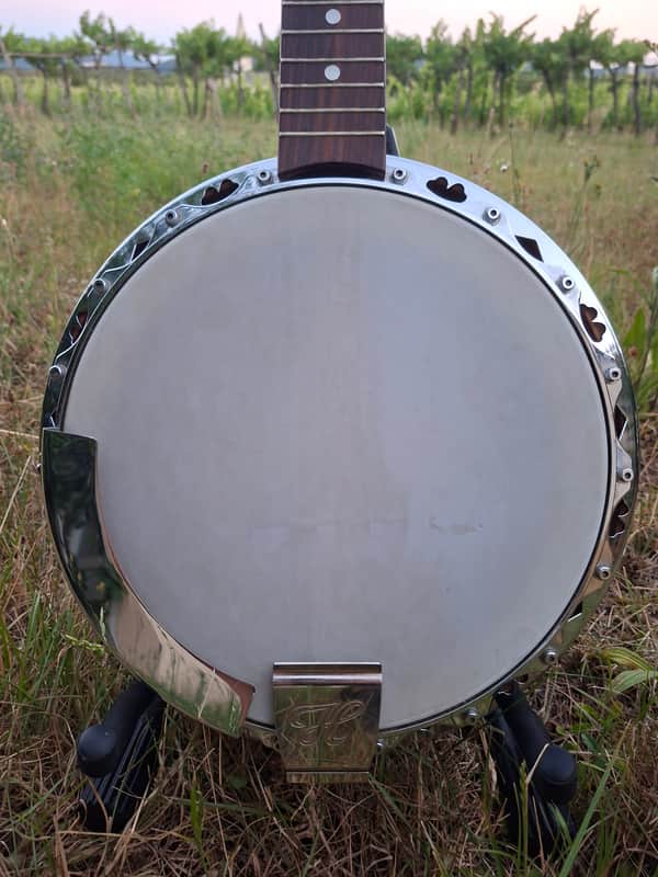 Hoyer 6-String Guitar Banjo (Banjitar) 1970s image 1