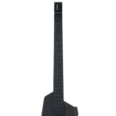 Casio DG-10 digital guitar image 3