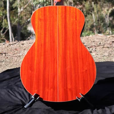 Furch Yellow Plus G-CP w/ LR Baggs Stagepro Anthem Pickup System image 4