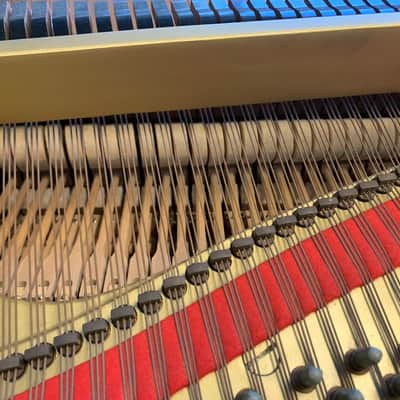 Terry Bozzio's Missing Persons 1983 Yamaha C7 Grand Piano. Polished Ebony image 23