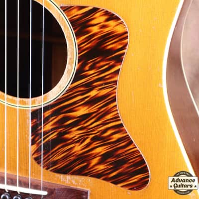Gibson 1936 Roy Smeck Radio Grande Conversion image 14